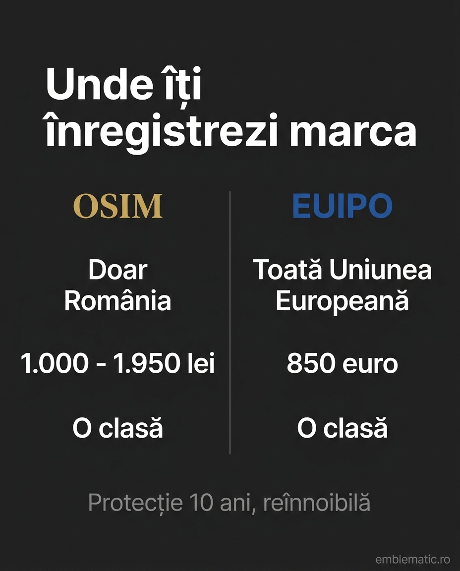 Comparație între înregistrarea mărcii la OSIM și la EUIPO: acoperire, cost și durată
