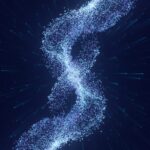 Google a spus-o oficial: optimizarea pentru AI e tot SEO